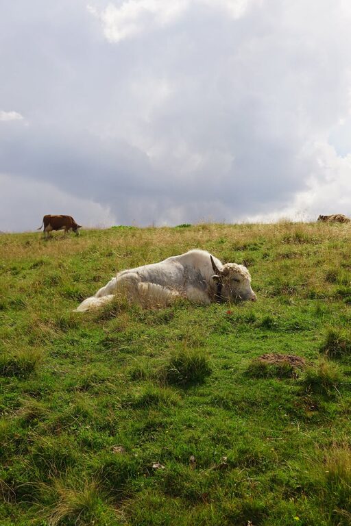 How to Plan a Restful Day Off at Home for Ultimate Relaxation